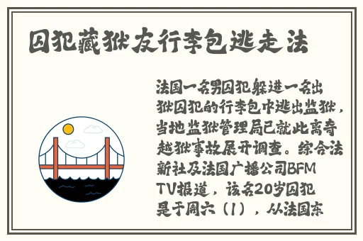 亏亏亏软件下载